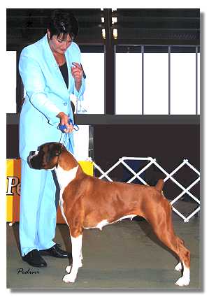 Anna and Charlotte winning Best in Show BAOV 2002 Championship show